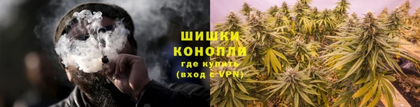ПСИЛОЦИБИНОВЫЕ ГРИБЫ Алзамай