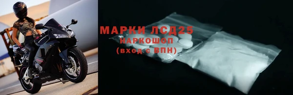 ПСИЛОЦИБИНОВЫЕ ГРИБЫ Алзамай