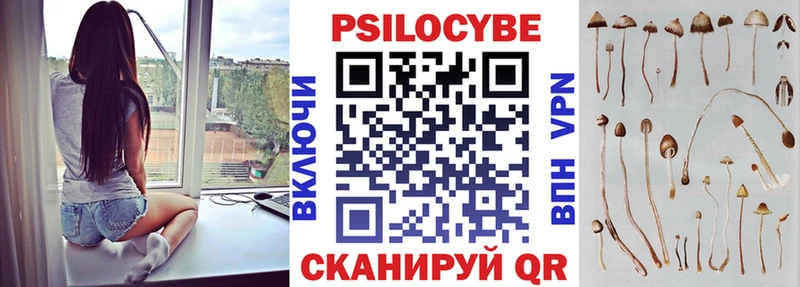 Псилоцибиновые грибы мицелий Гдов