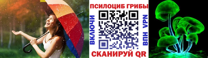 Псилоцибиновые грибы Cubensis  наркотики  Гдов 